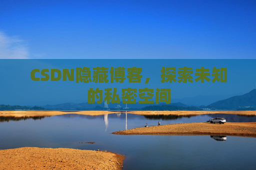 CSDN隐藏博客,探索未知的私密空间